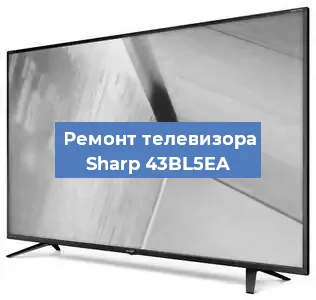 Замена инвертора на телевизоре Sharp 43BL5EA в Новосибирске